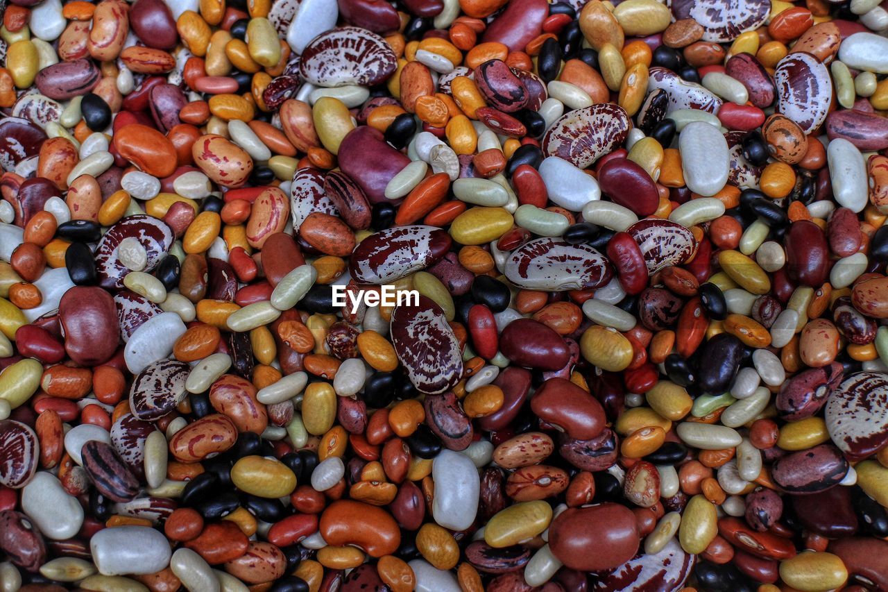 Close-up of multi colored kidney bean