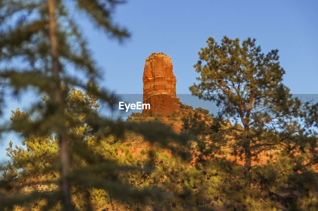 Low angle view of rocky mountains and tree against sky on sunny day