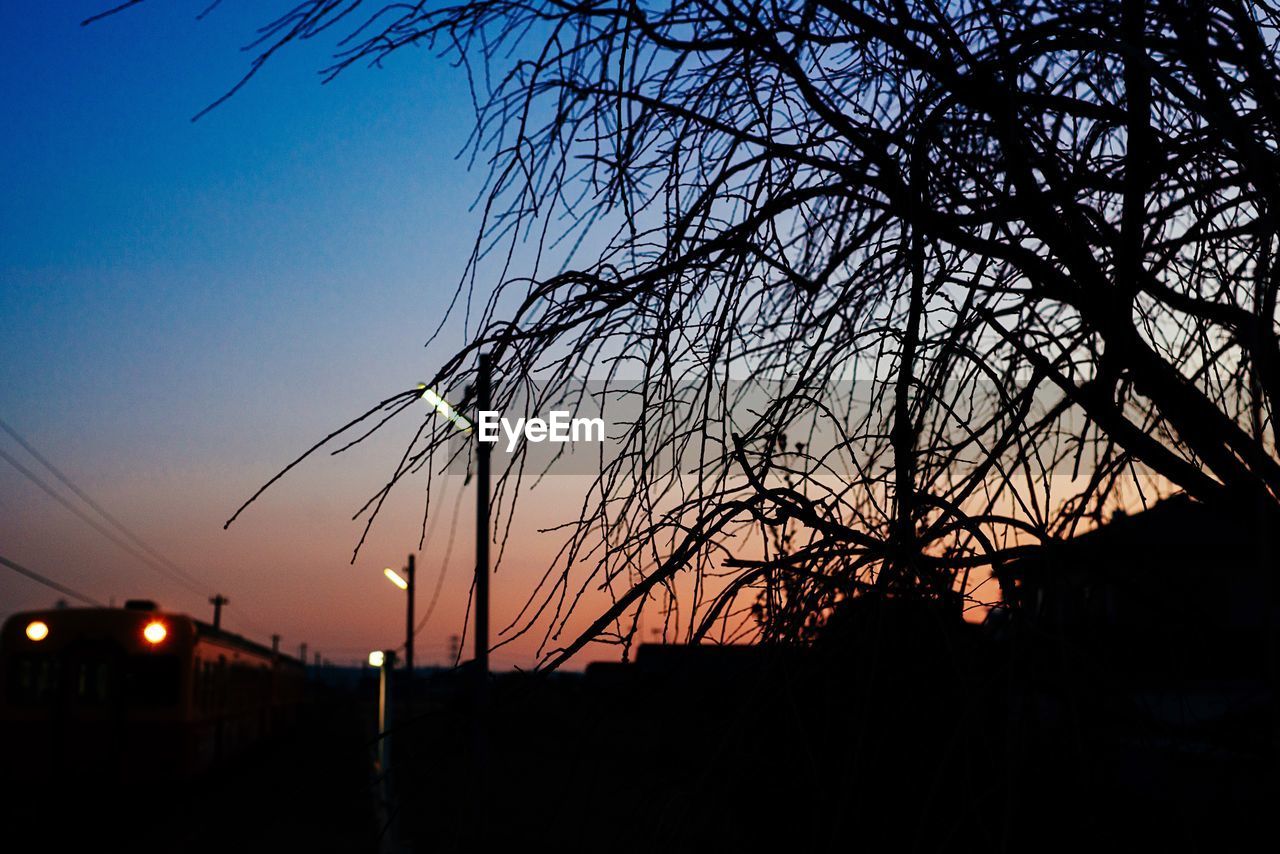 SILHOUETTE OF BARE TREE AGAINST SKY