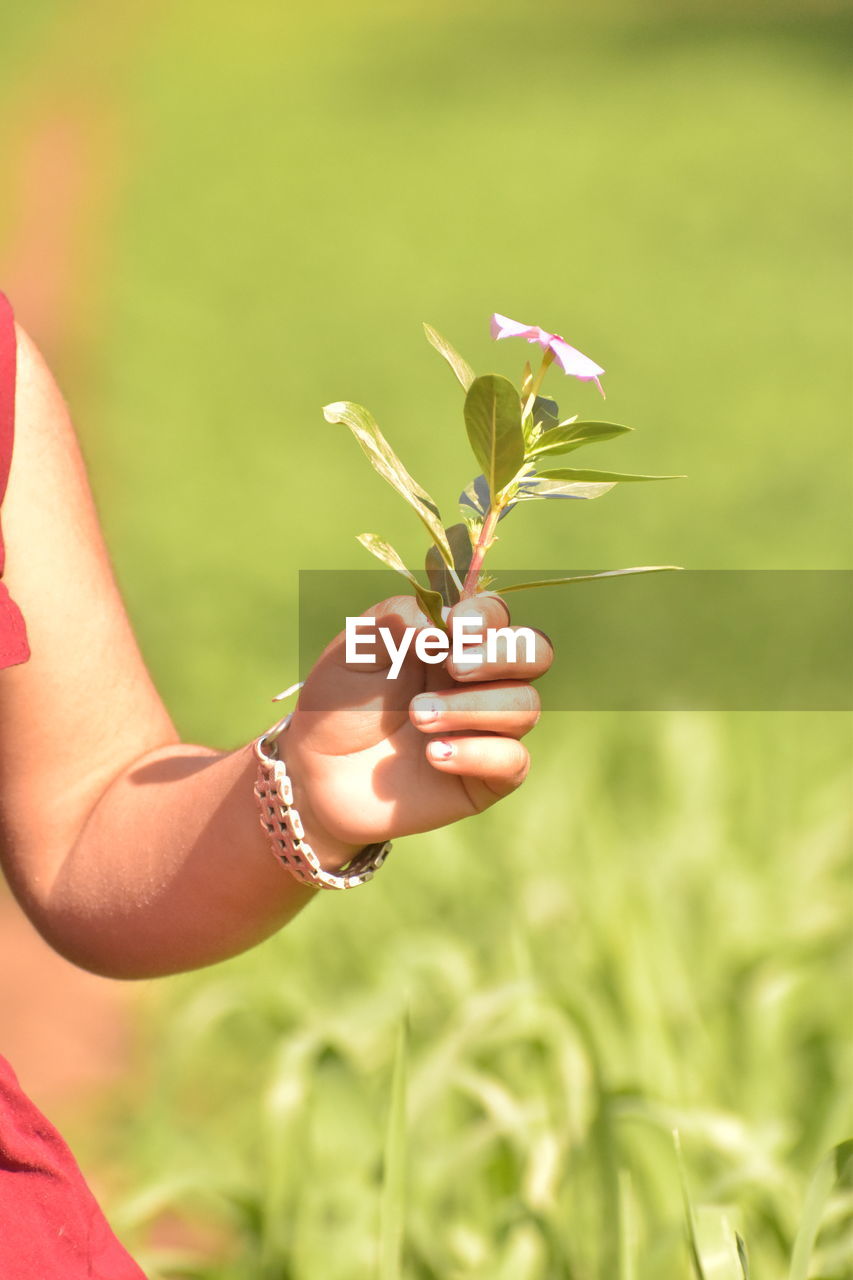 MIDSECTION OF WOMAN HOLDING PLANT AT FIELD