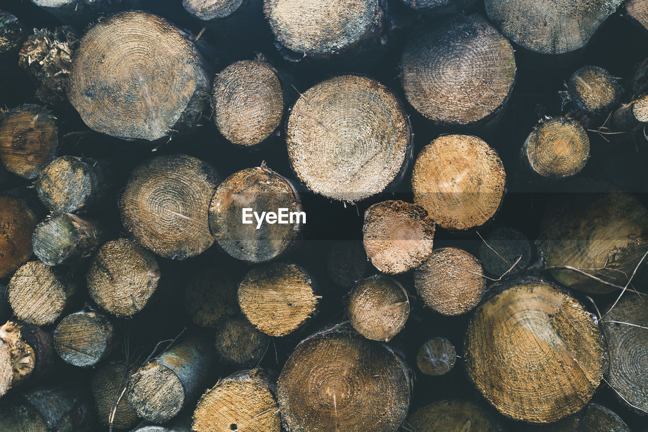 A stack of wooden logs in a moody morning atmosphere