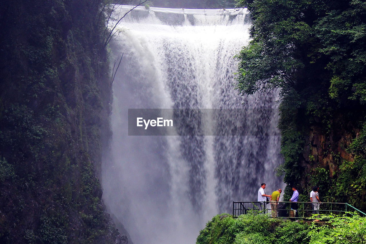 People standing by waterfall at forest