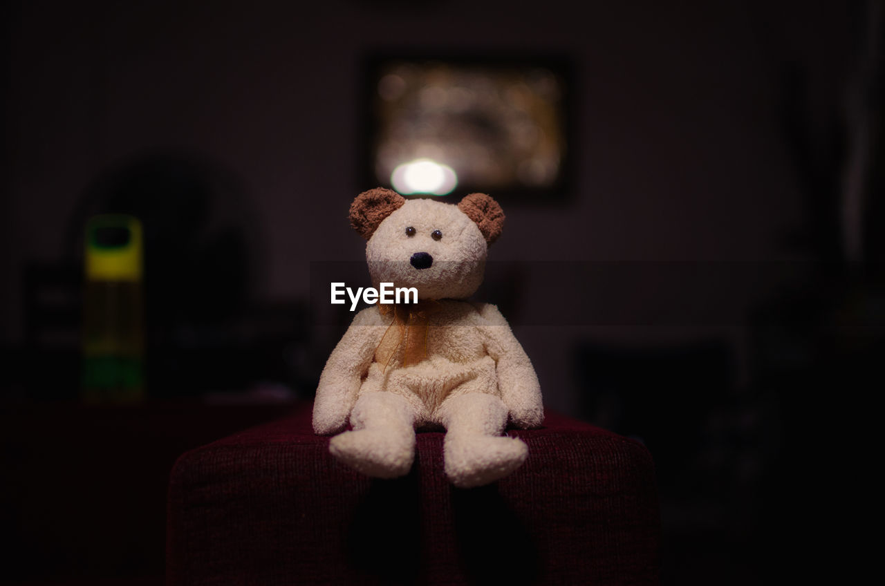 Close-up of teddy bear in darkroom