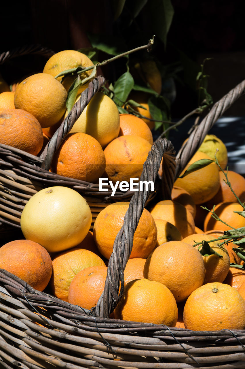 PUMPKINS IN BASKET