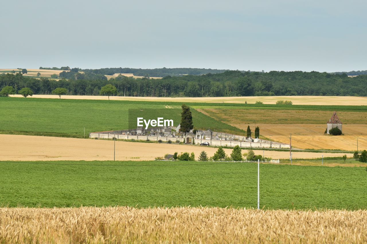 Scenic view of farm against sky