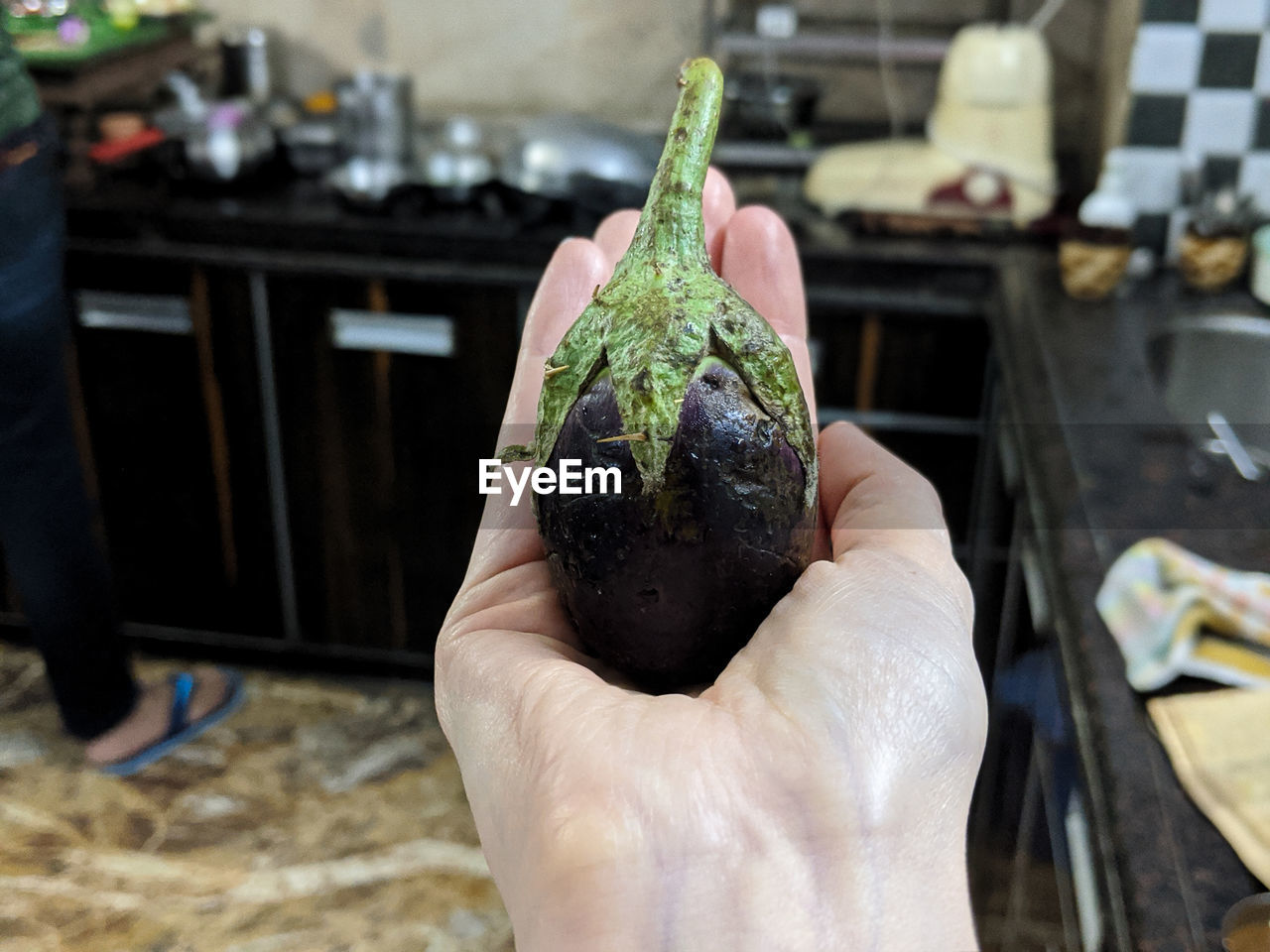 Close-up of person holding eggplant