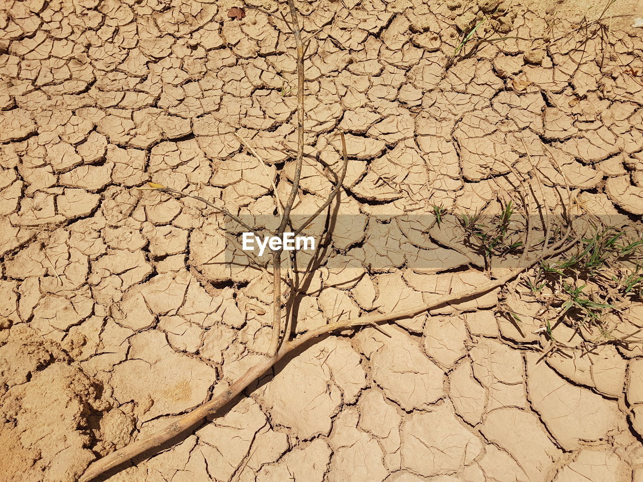 Full frame shot of cracked land