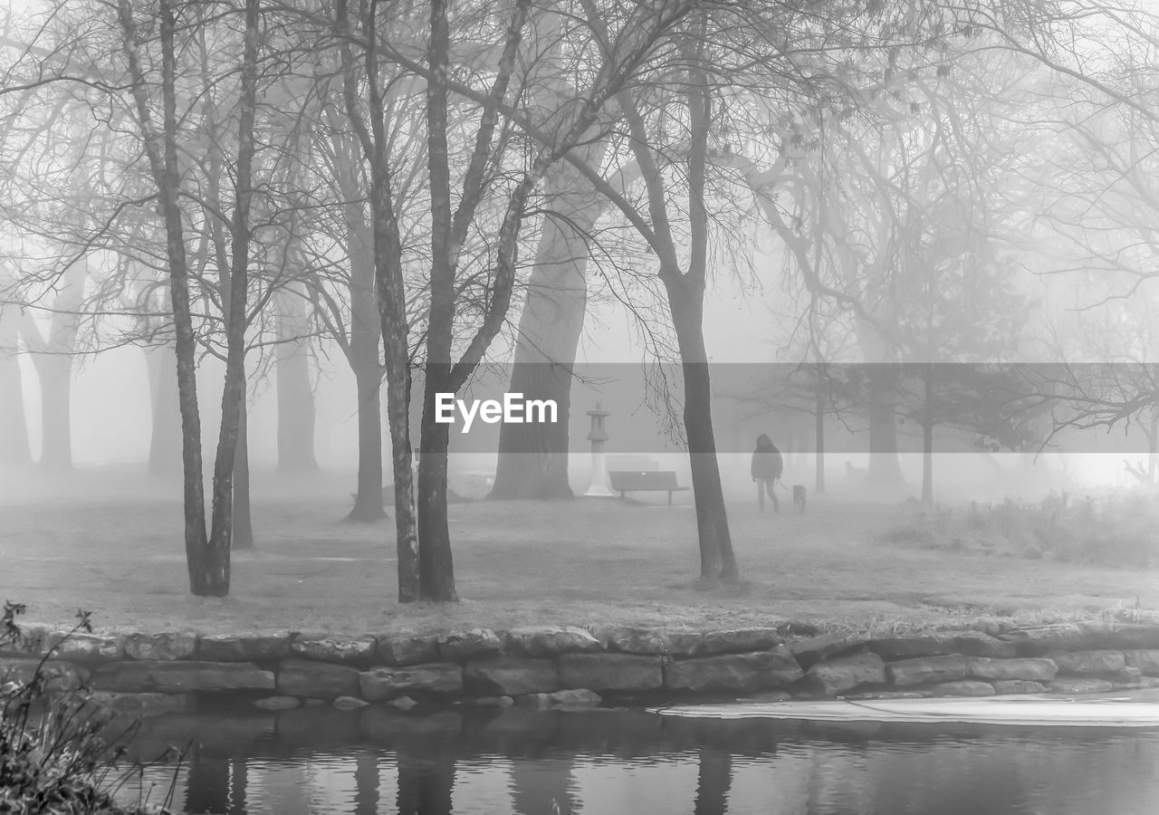 Lake against bare trees at park during foggy weather