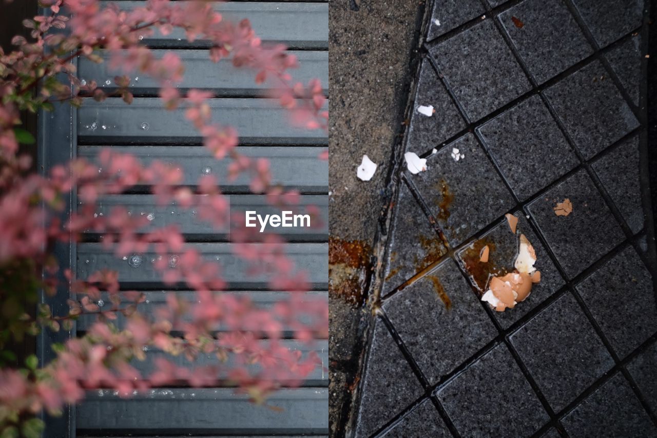 CLOSE-UP OF FOOTPATH WITH AUTUMN LEAVES