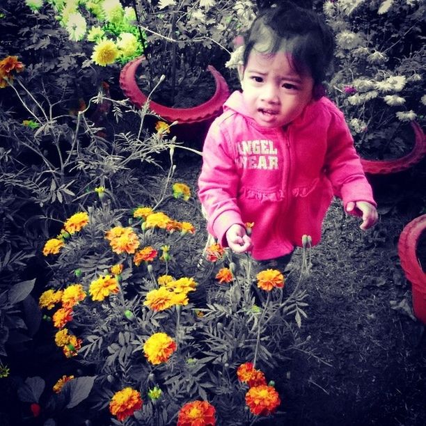 PORTRAIT OF GIRL HOLDING FLOWER