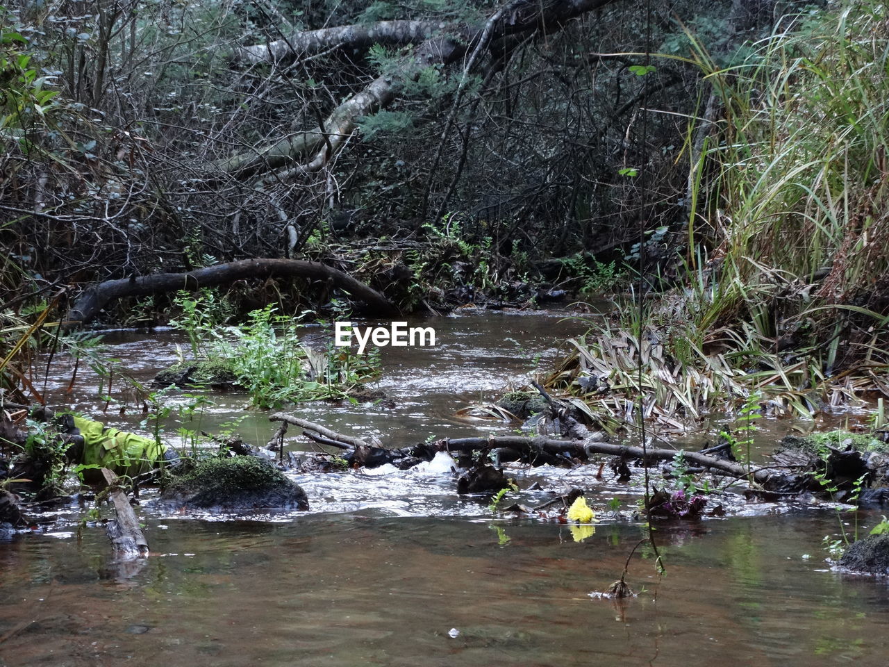 SCENIC VIEW OF WATER