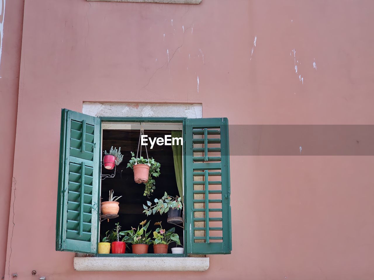 wall, red, plant, architecture, art, nature, window, flower, wall - building feature, flowering plant, potted plant, built structure, day, building exterior, pink, no people, outdoors, green, blue, growth, interior design, house