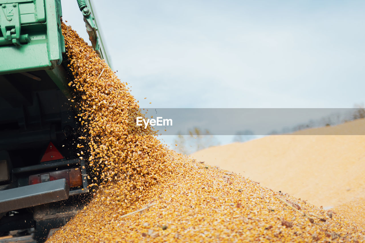 Unloading corn from tractor