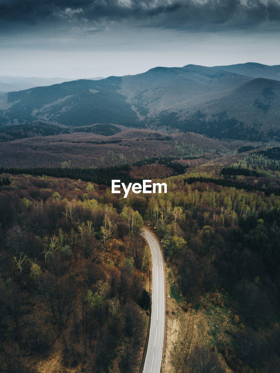 High angle view of road amidst trees at forest