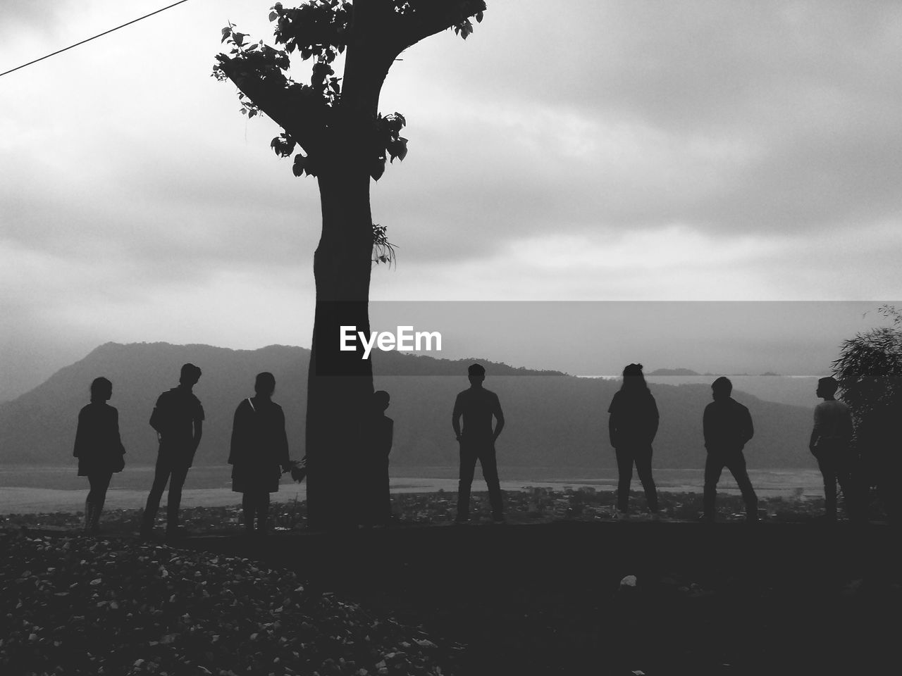 SILHOUETTE PEOPLE STANDING BY TREES AGAINST SKY