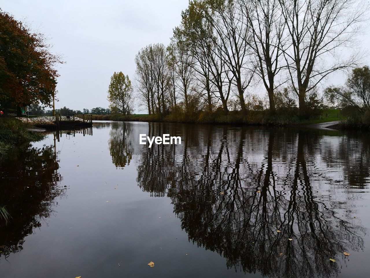 REFLECTION OF TREES ON LAKE AGAINST SKY