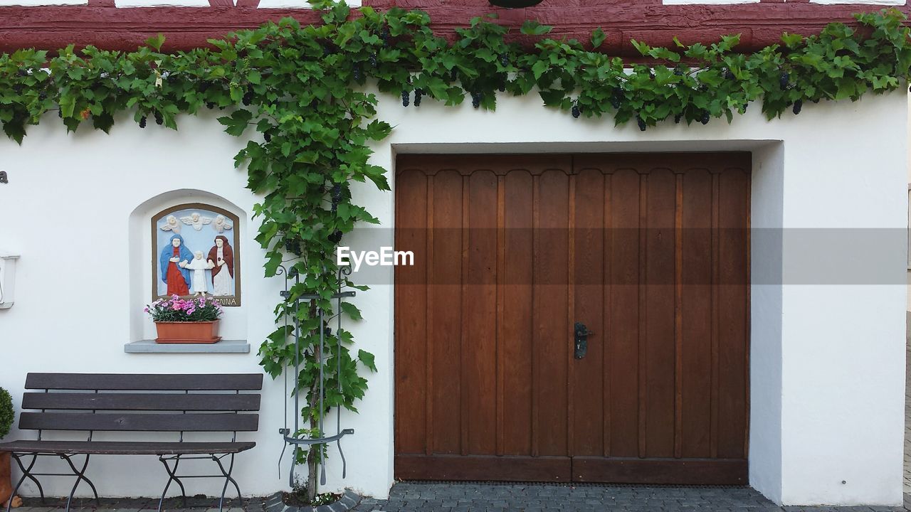 Plants and flowers growing around old european door