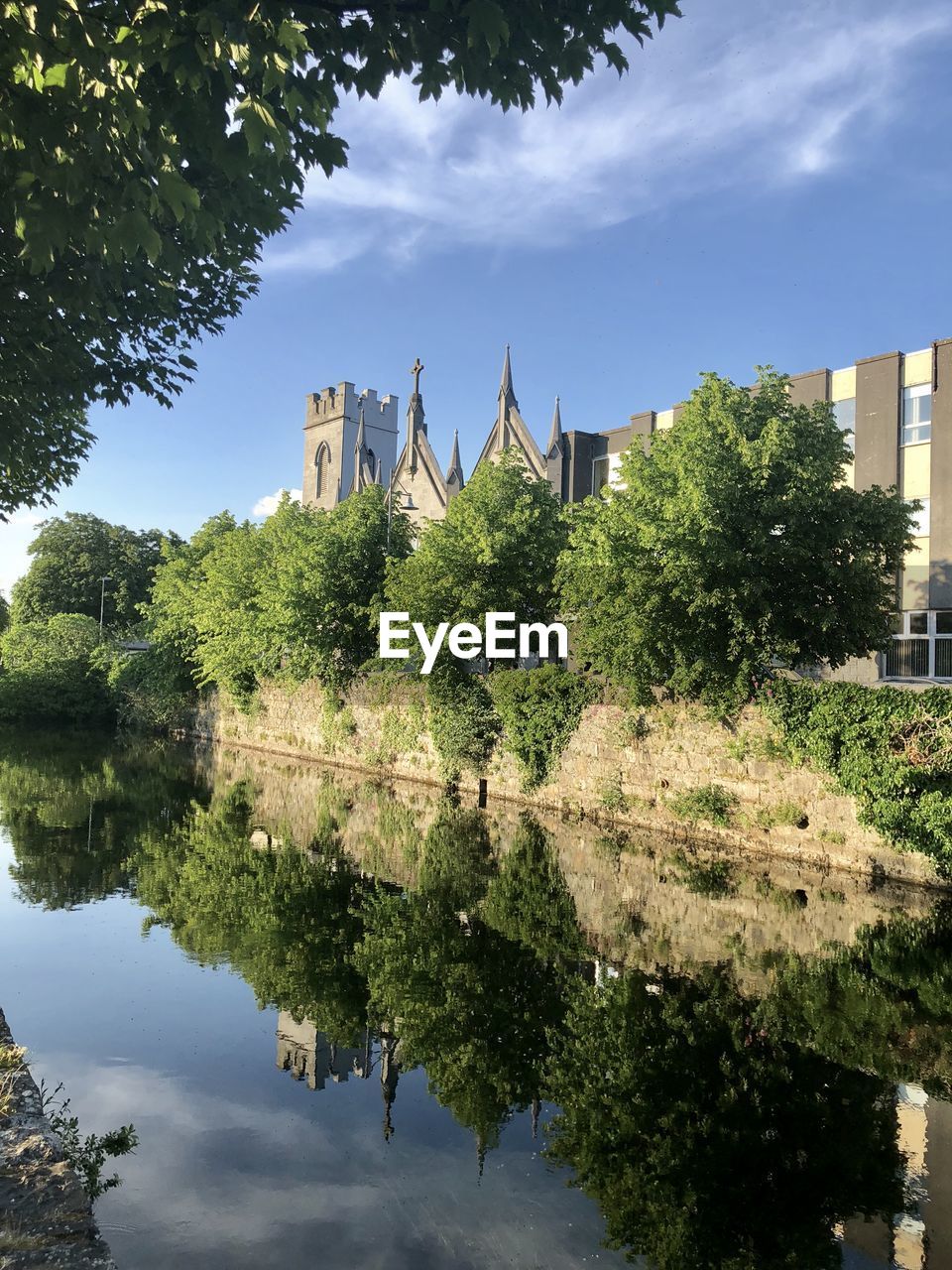 REFLECTION OF TREES AND BUILDING IN WATER