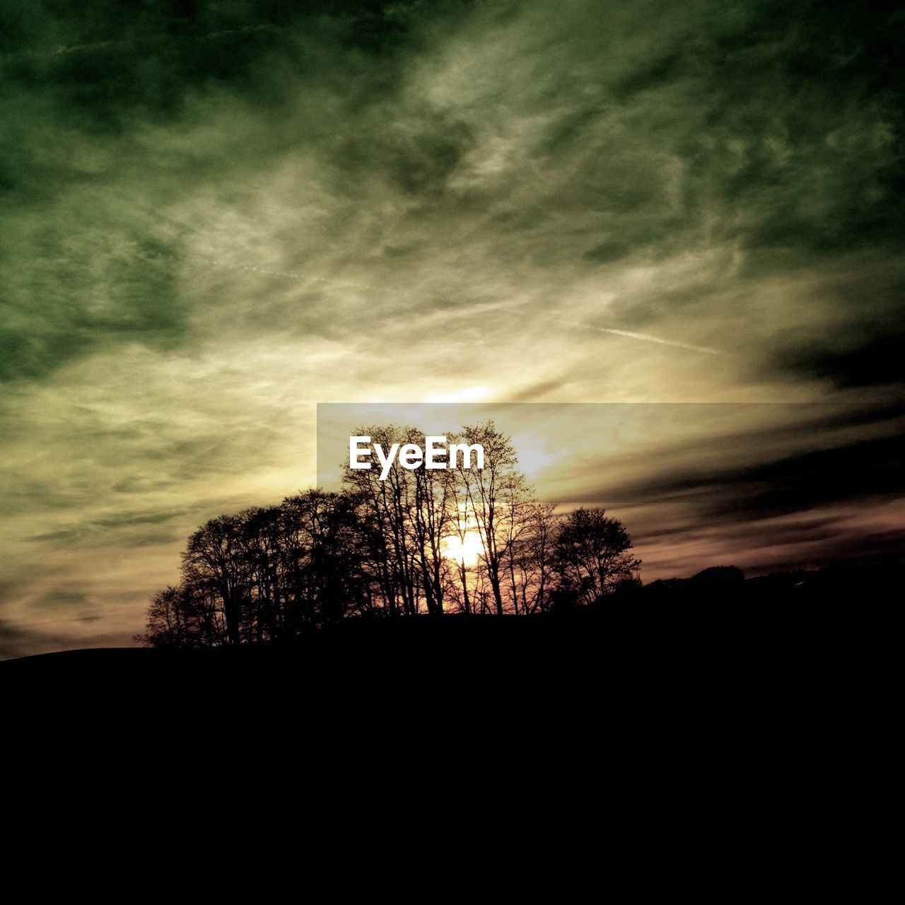 LOW ANGLE VIEW OF SILHOUETTE TREES AGAINST SUNSET SKY