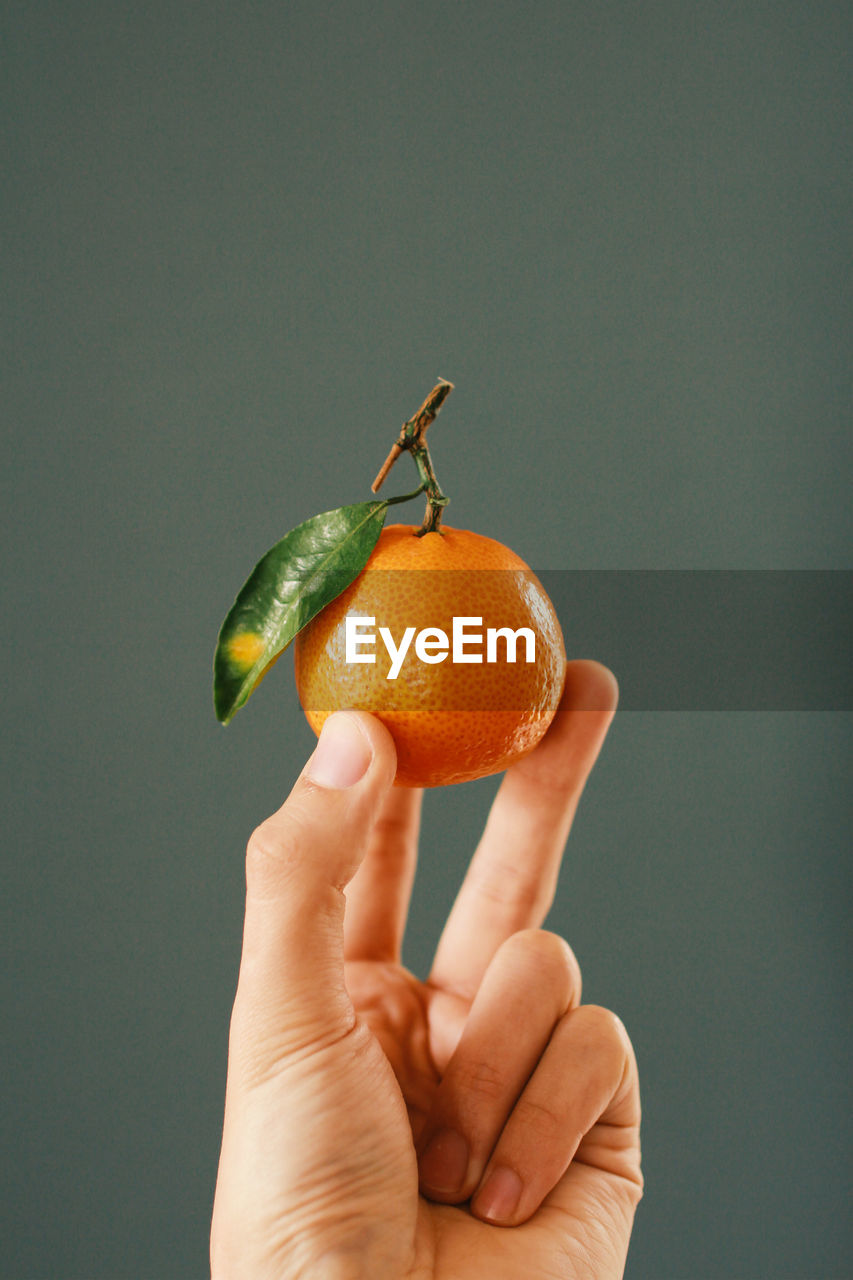 CLOSE-UP OF HAND HOLDING FRUIT