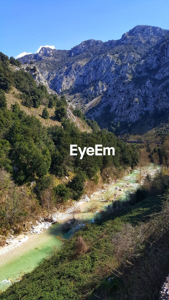 SCENIC VIEW OF TREE MOUNTAINS AGAINST CLEAR SKY