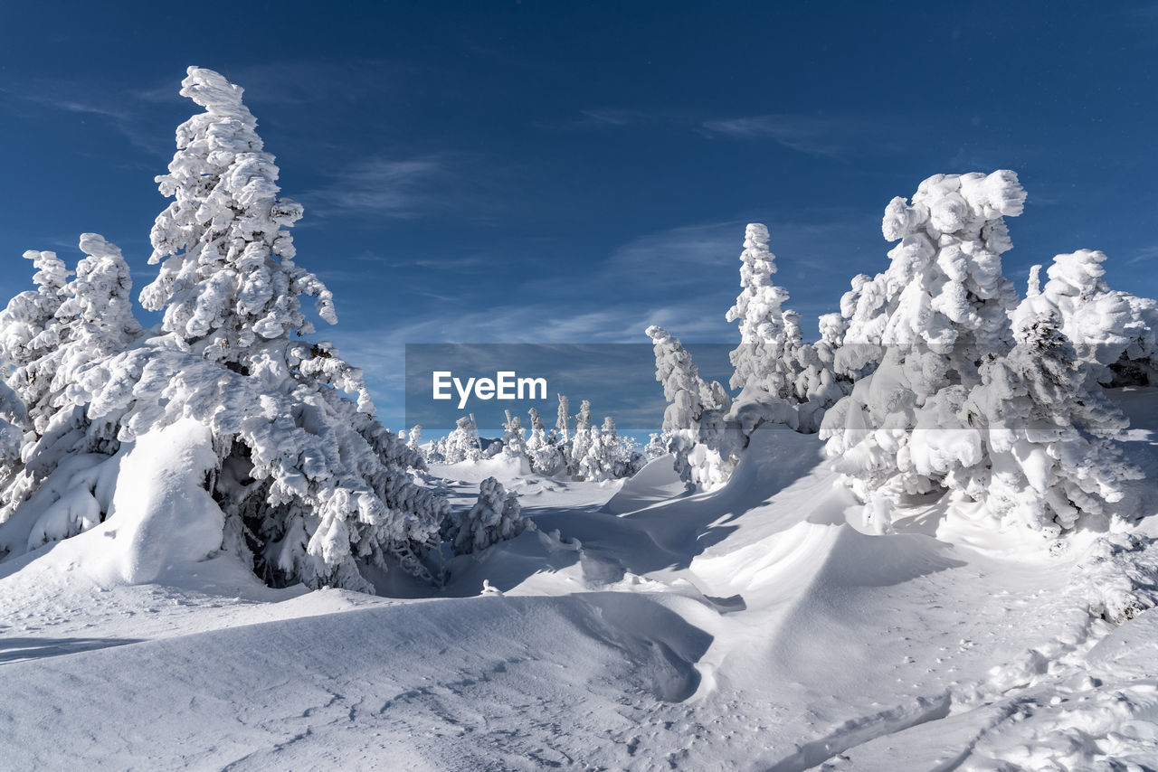 Snow covered landscape against sky