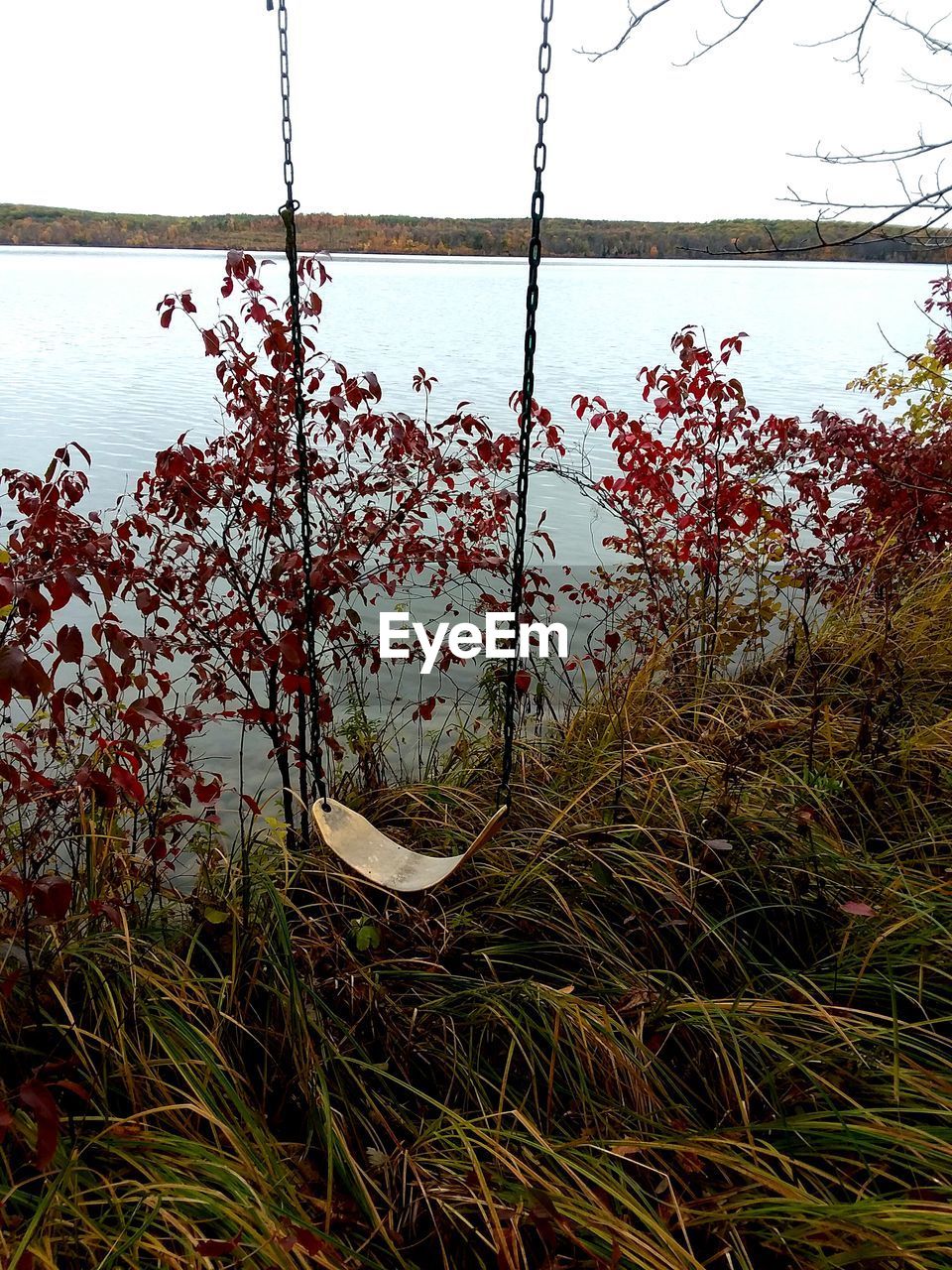 SCENIC VIEW OF LAKE AGAINST TREES