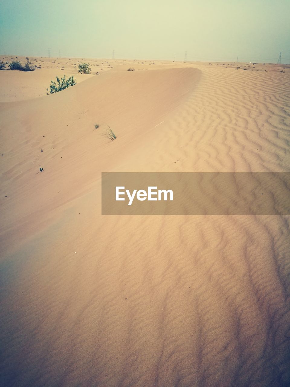 SAND DUNES IN THE BEACH