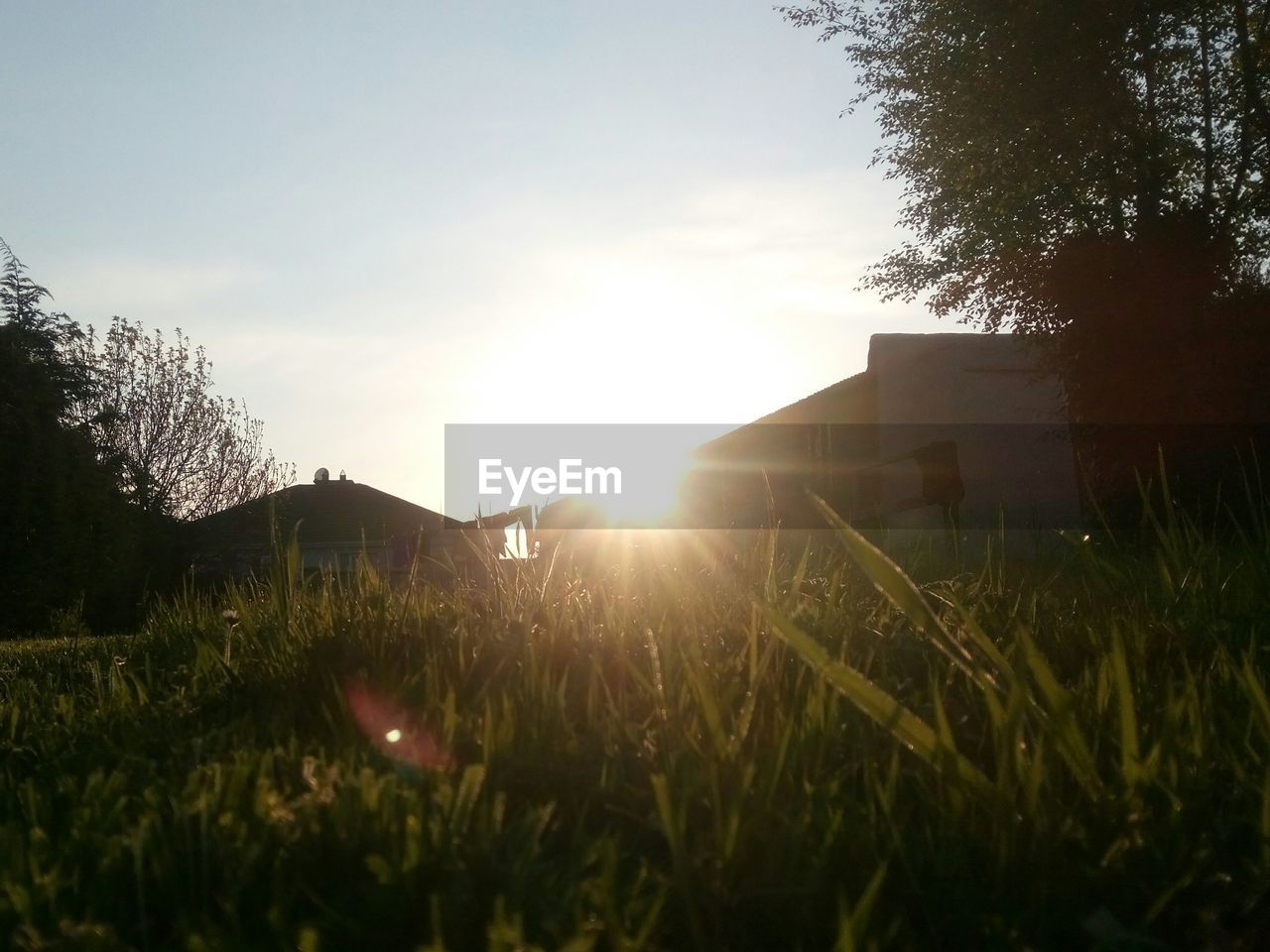 Surface level of houses on grassy field against sky during sunny day