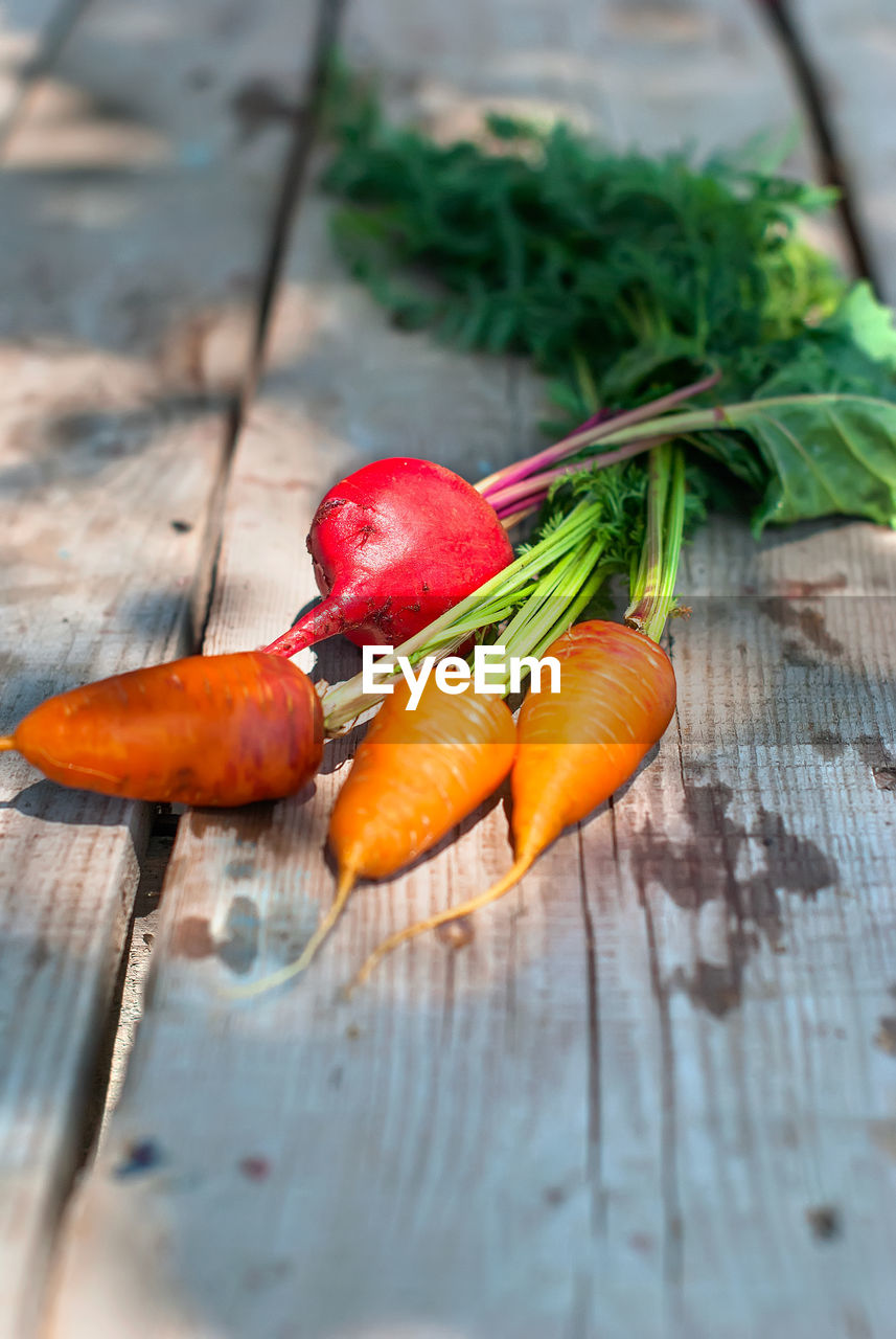 HIGH ANGLE VIEW OF FRESH VEGETABLES ON TABLE