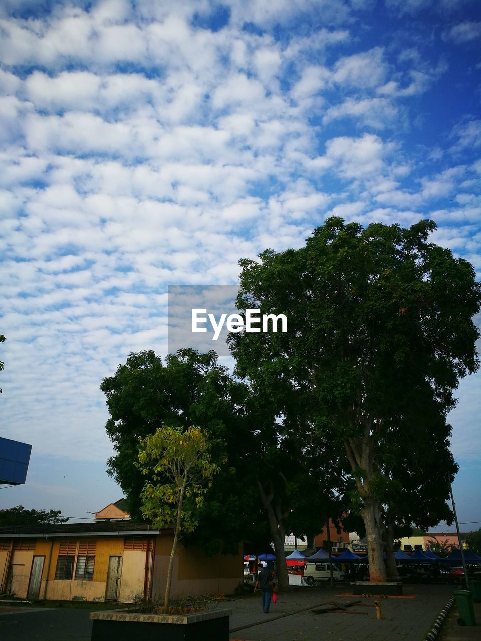 TREES AGAINST CLOUDY SKY WITH CLOUDS IN FOREGROUND