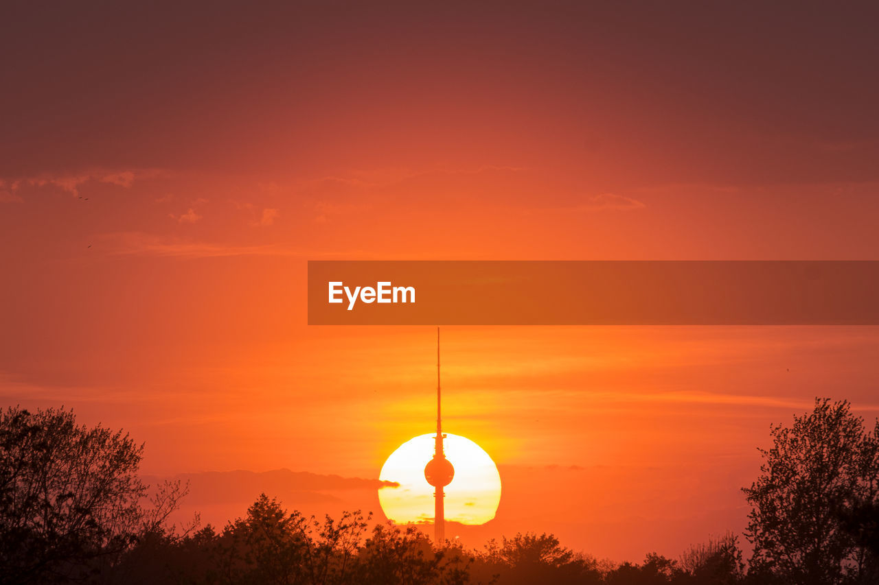 Silhouette trees against orange sky during sunset