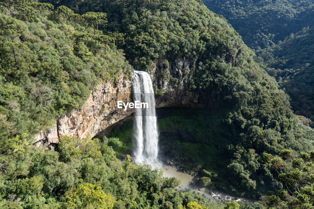 Scenic view of waterfall in forest