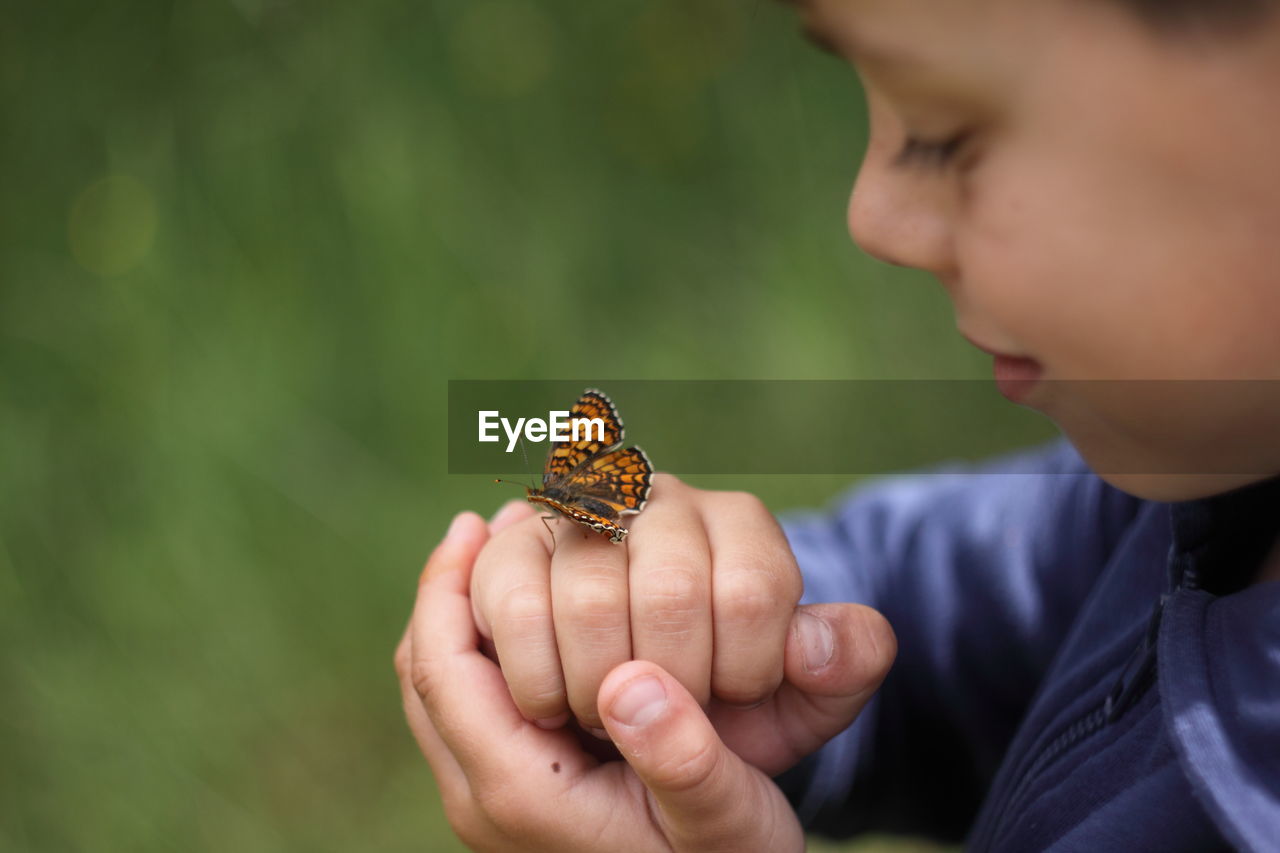 Close-up of boy holding butterfly