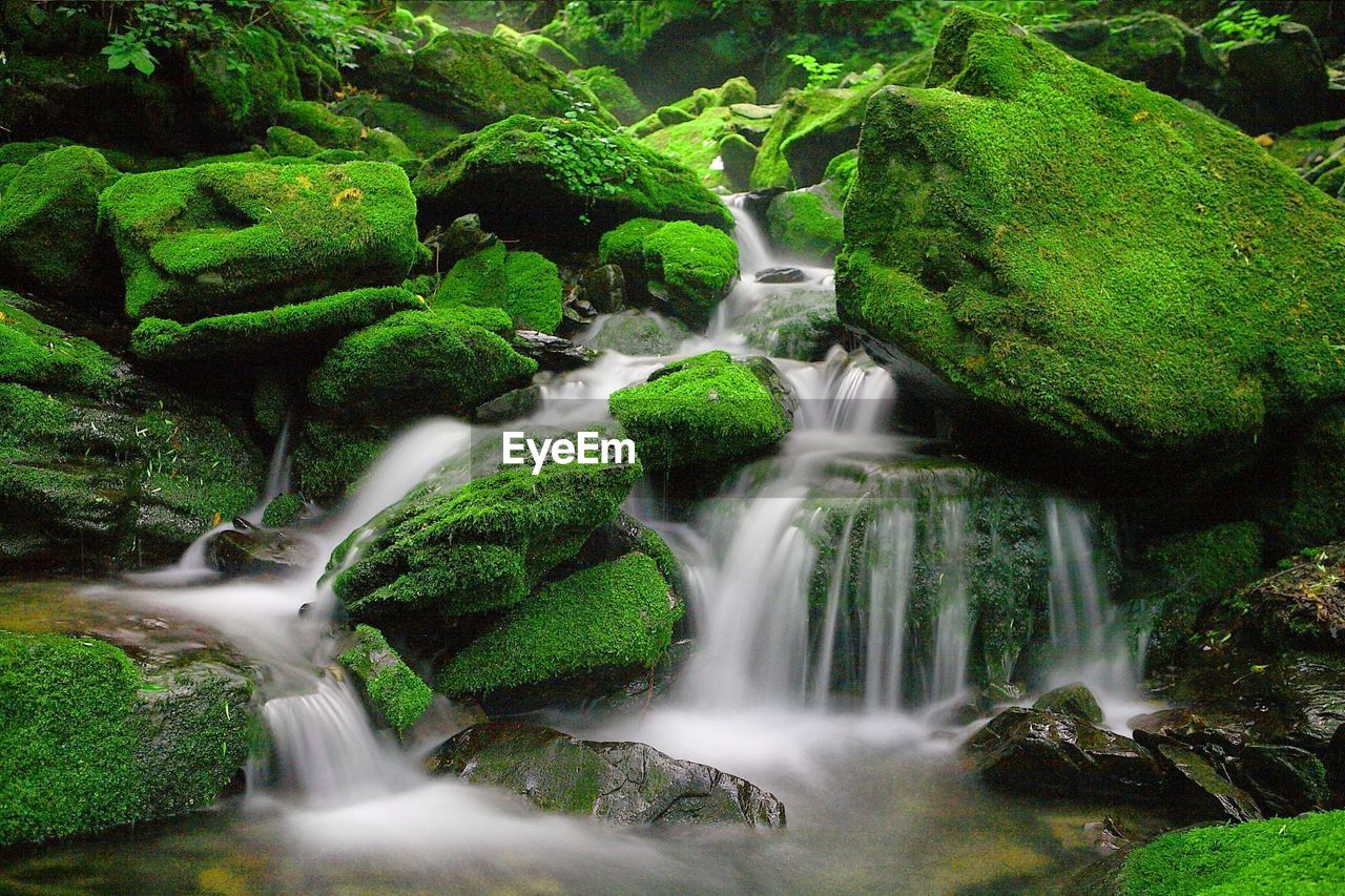 River flowing through rocks