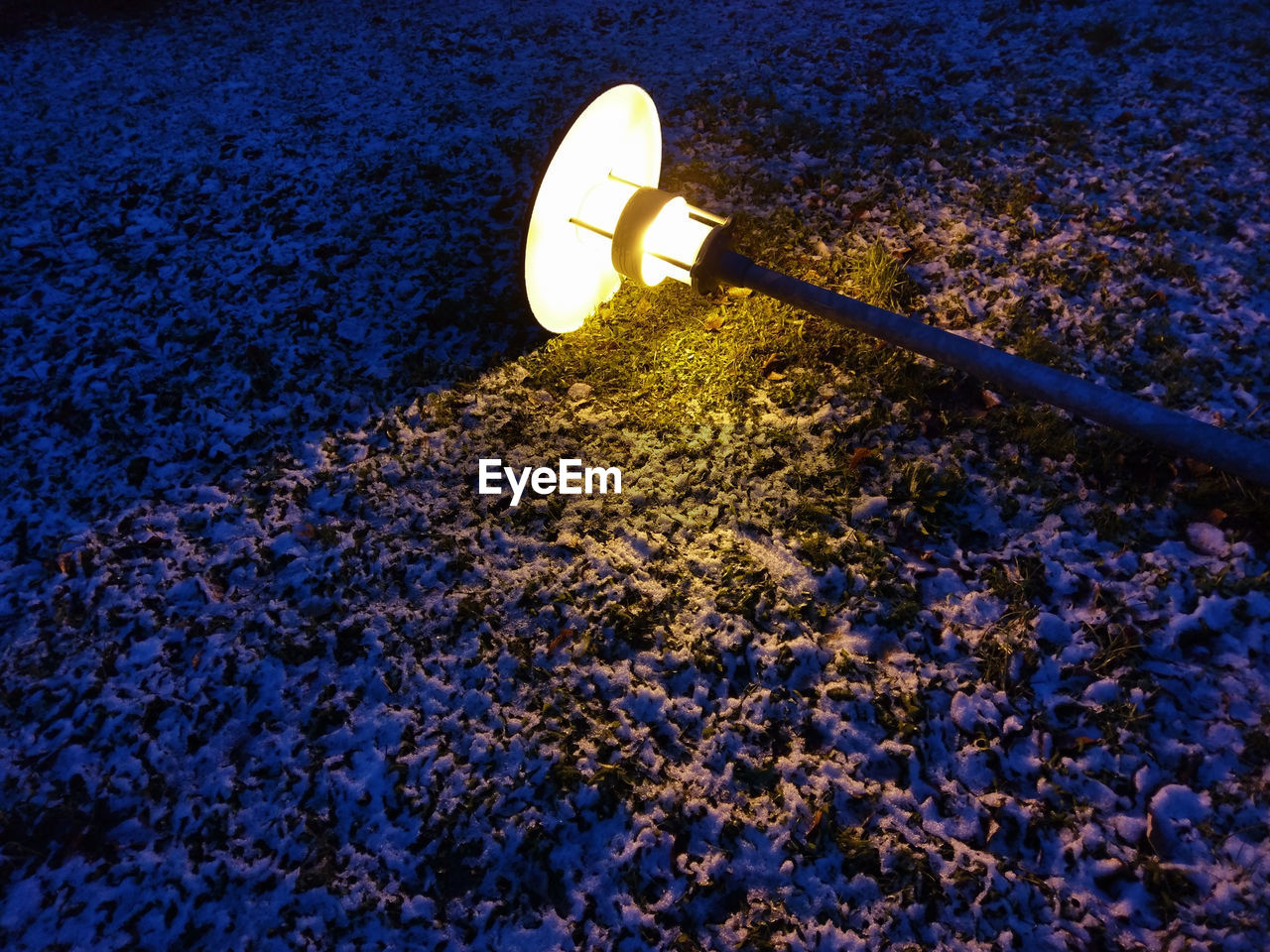 HIGH ANGLE VIEW OF ILLUMINATED STREET LIGHT BY PLANT ON COBBLESTONE
