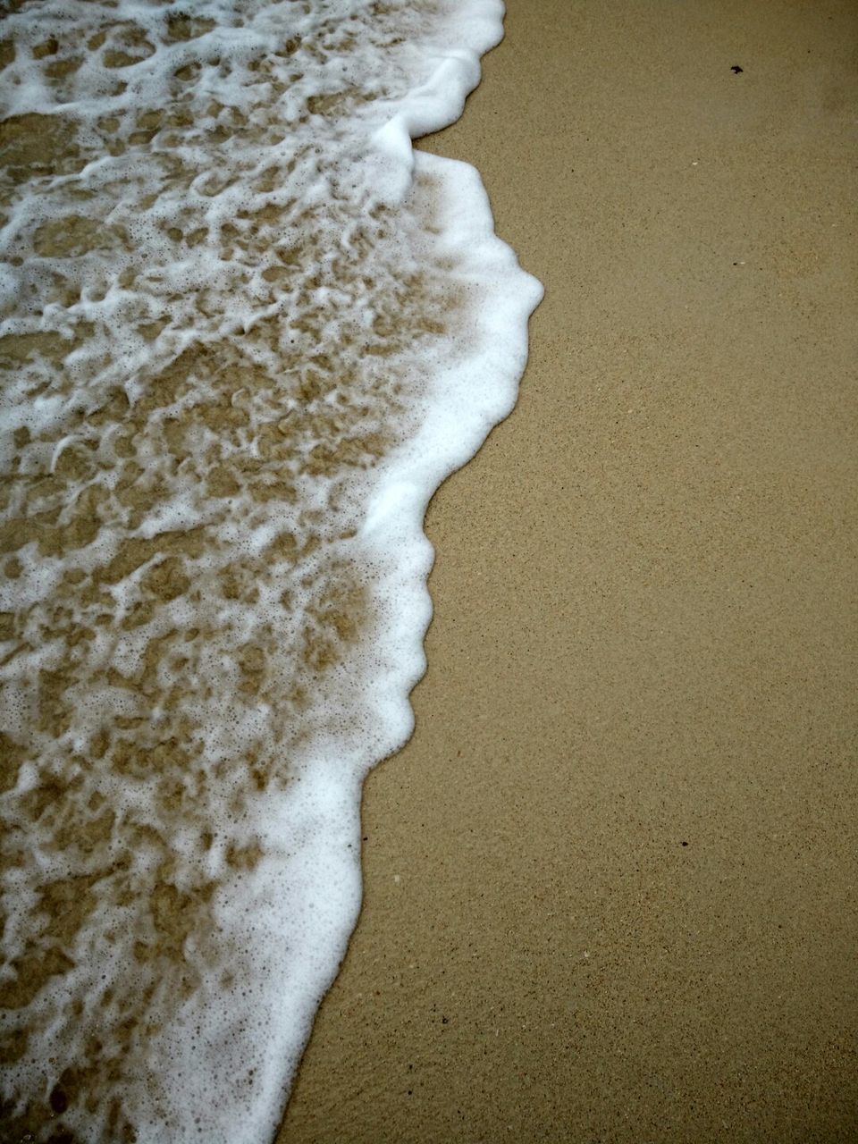 CLOSE-UP OF BEACH