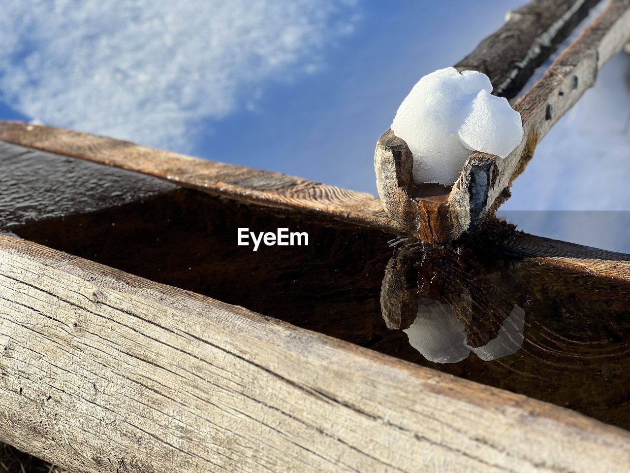 wood, nature, sky, day, no people, outdoors, close-up, cloud, low angle view, sunlight