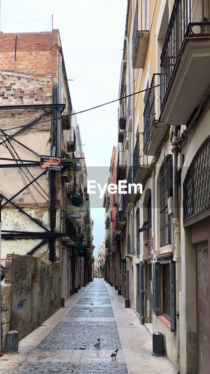 Narrow alley amidst buildings in city