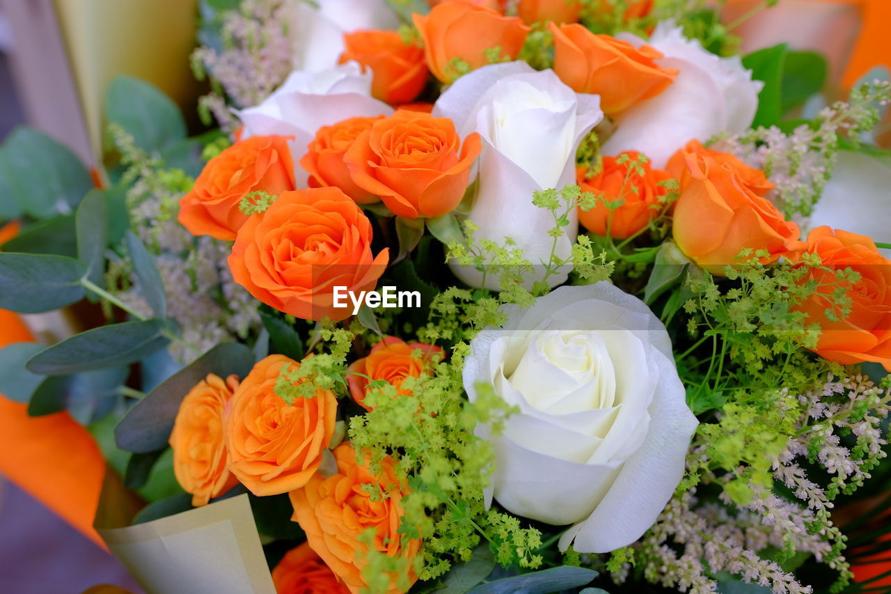 HIGH ANGLE VIEW OF ROSES ON BOUQUET OF PLANT