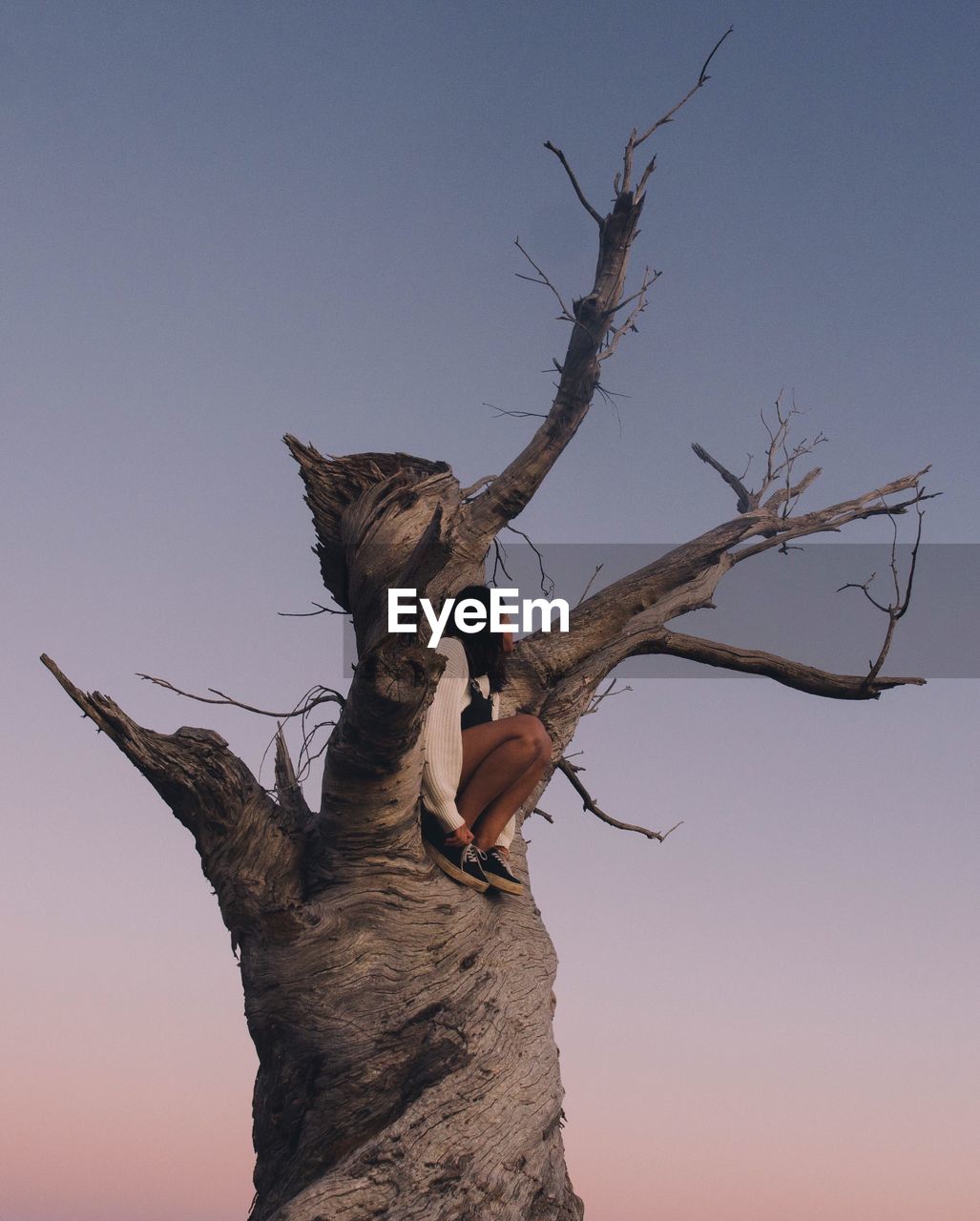Low angle view of woman sitting on dead tree against sky