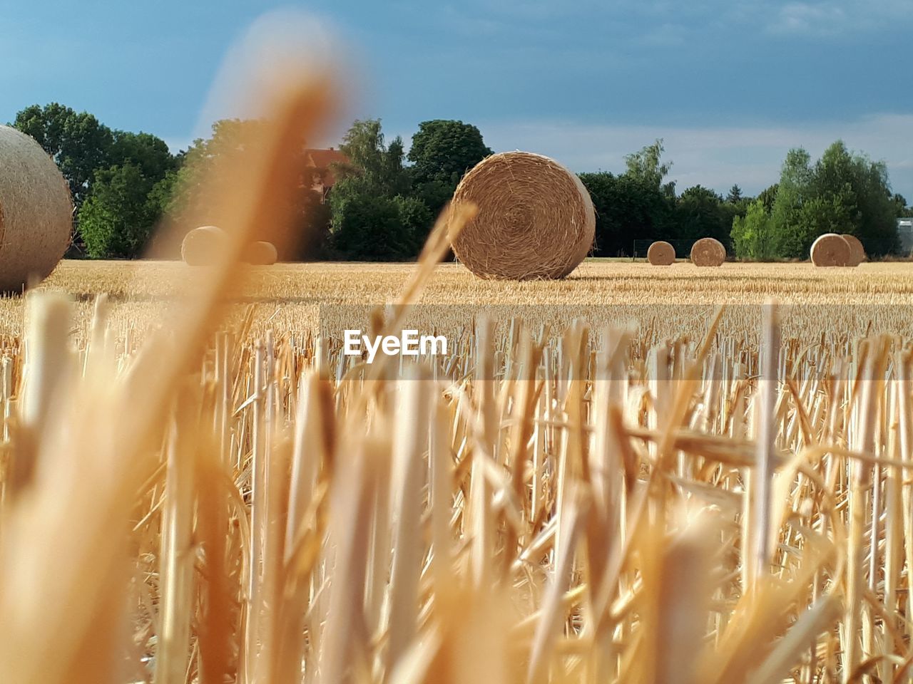 Hay bales on field against sky