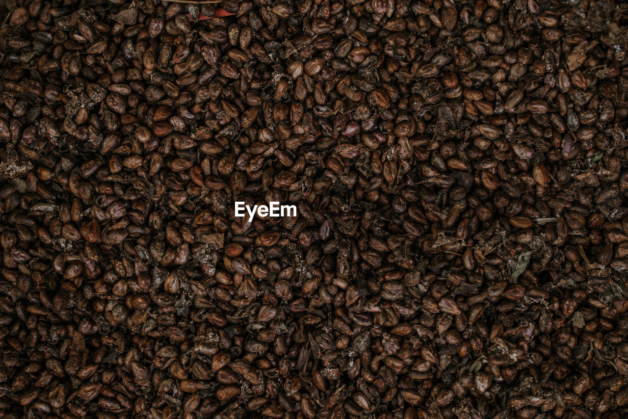 FULL FRAME SHOT OF COFFEE BEANS DURING SUNNY DAY