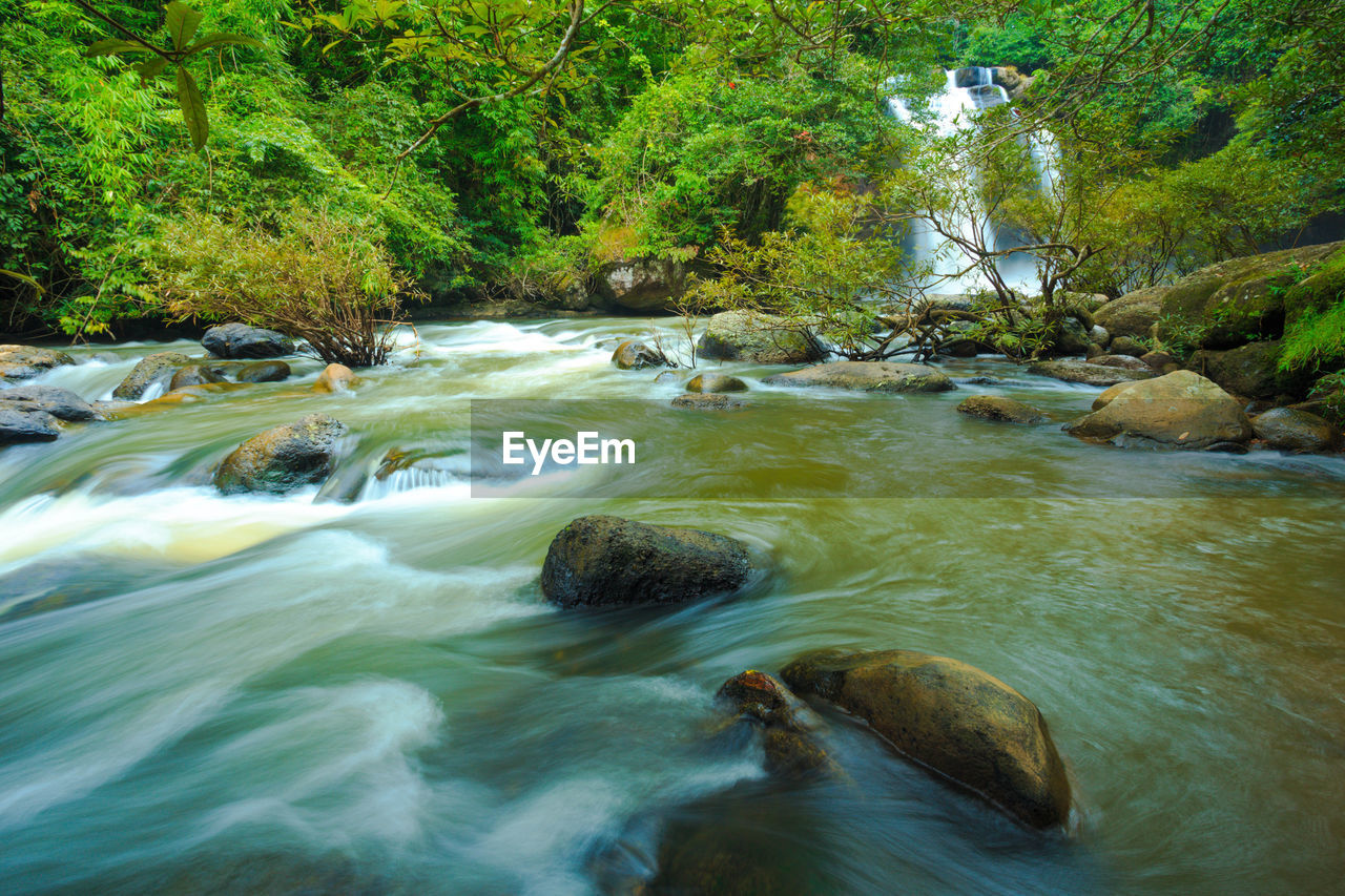 River flowing through rocks in forest