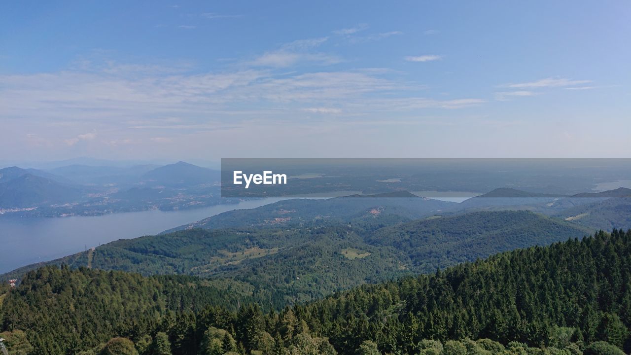 SCENIC VIEW OF FOREST AGAINST SKY