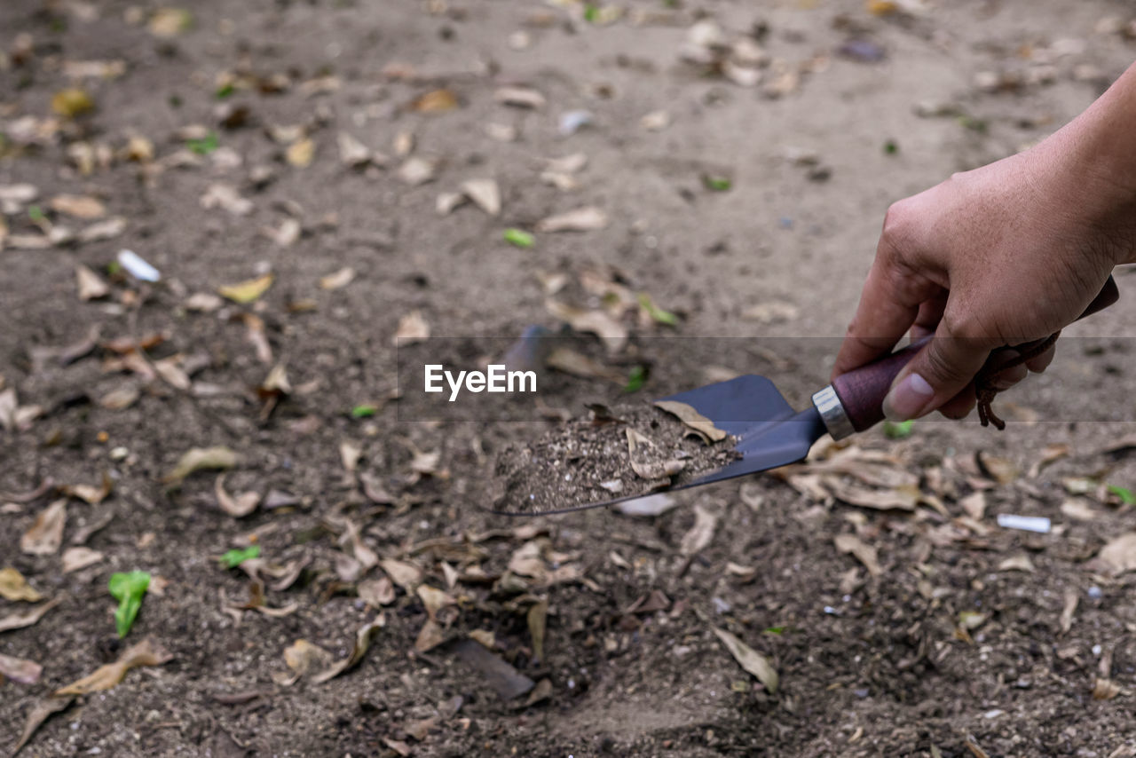 Close-up of hand holding leaf on land