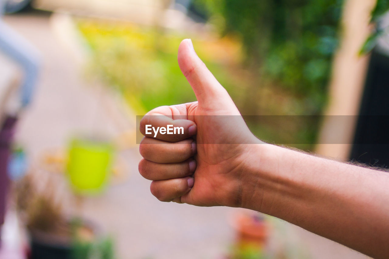 Cropped hand gesturing thumbs up sign