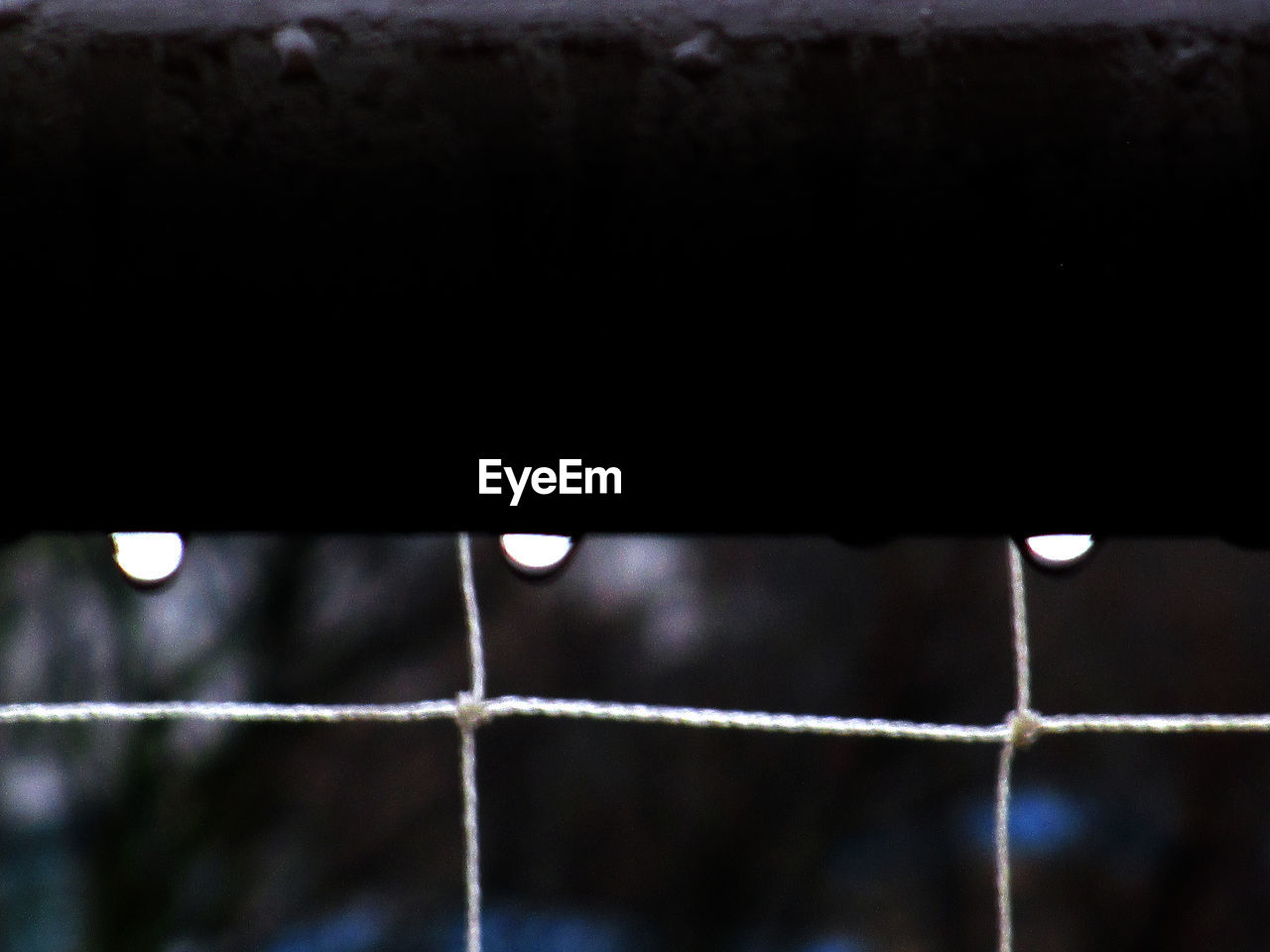 CLOSE UP OF SURFACE LEVEL OF GROUND