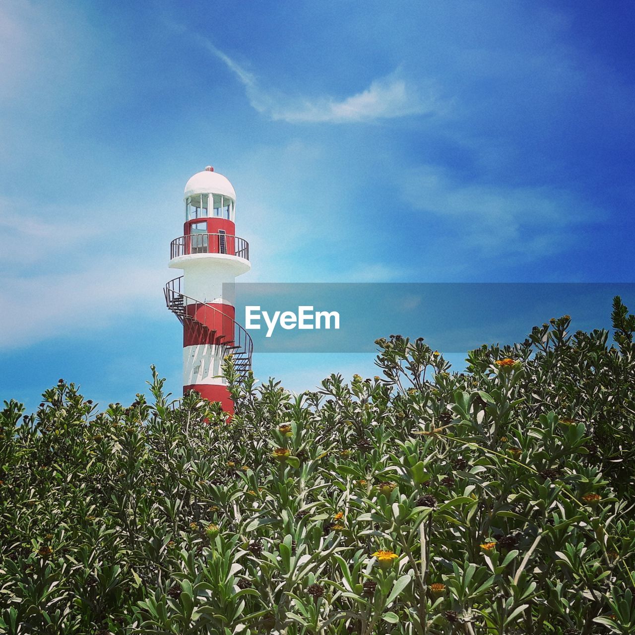 LOW ANGLE VIEW OF LIGHTHOUSE AGAINST SKY AND PLANTS