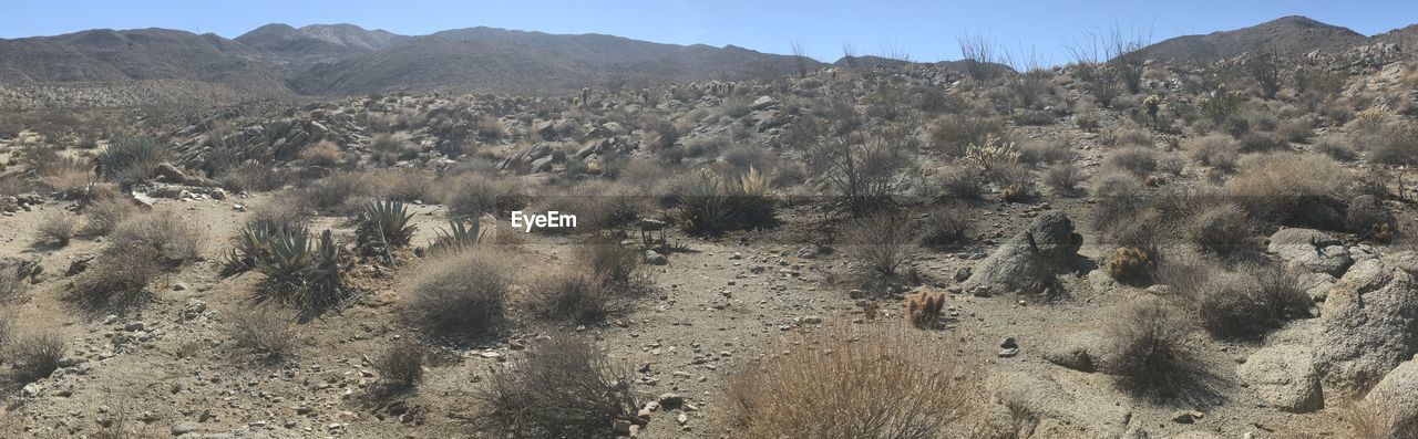 PANORAMIC VIEW OF DESERT AGAINST SKY